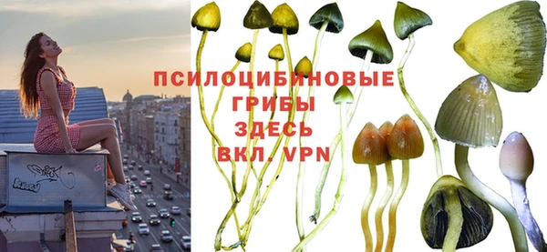 прущая мука Белокуриха