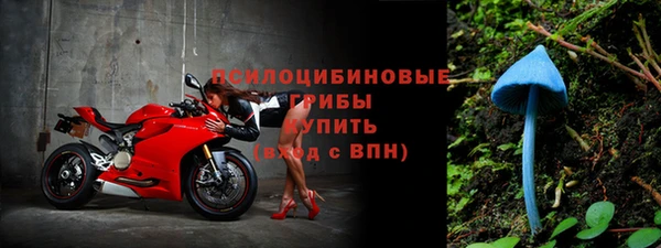 прущая мука Белокуриха