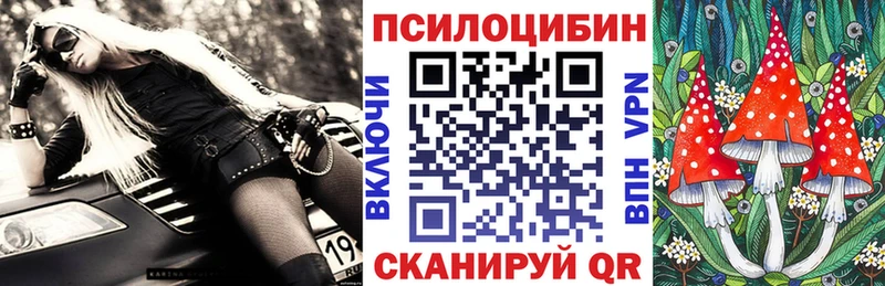 Галлюциногенные грибы Cubensis  Первомайск 